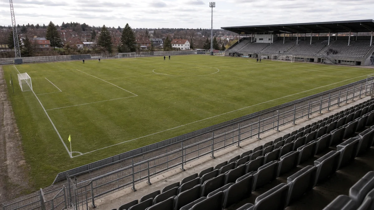 Katsomotunnelmaa sarjassa Championship