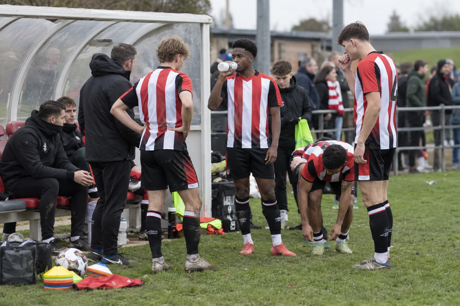 Janelt noussut Brentfordin tehokkaaksi FPL-hankinnaksi